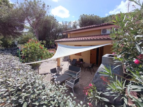 Beach House